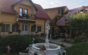 Pensiunea Darius Costinesti